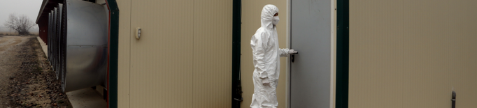 ⏯️ Inspeccionen les granges situades a la zona de vigilància pel cas de grip aviària d'Arbeca