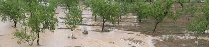 La tempesta de diumenge va descarregar pedra en unes 143 hectàrees del Segrià