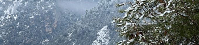 Neucat actiu davant les possibles nevades a l'Aran, l'Alta Ribagorça i el Pallars Sobirà aquesta setmana