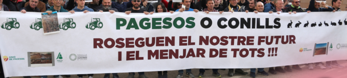 Representants agrícoles declaren pel suposat maltractament de conills en una protesta a Lleida