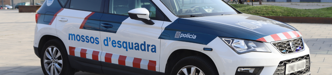 Detingut un jove per onze furts al Pla d'Urgell