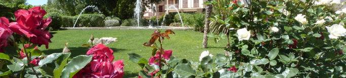 Les Borges anima a engalanar balcons amb plantes i flors naturals