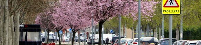 Lleida planta prop d'un miler de nous arbres a la ciutat durant aquest any