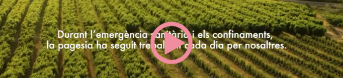 ⏯️ La Diputació de Lleida llança una campanya en defensa de la pagesia