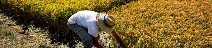 Com mitigar el canvi climàtic des de l’agricultura
