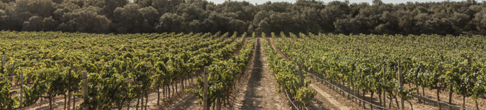 La Ruta del Vi de Lleida - Costers del Segre aconsegueix la certificació Biosphere
