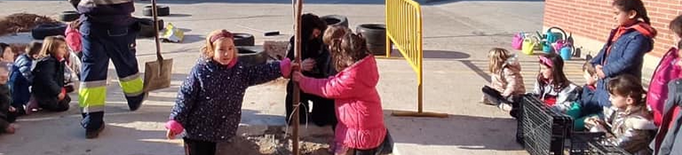 L'escola de Corbins planta arbres al pati per fer-lo més inclusiu