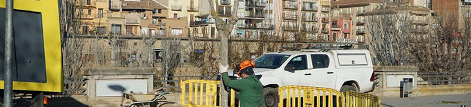 Balaguer replanta 68 arbres a l'avinguda dels Països Catalans