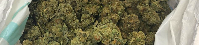 Detingut al Segrià amb més de 200 grams de marihuana al cotxe