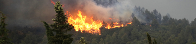 ⏯️ L'incendi de Baldomar ha cremat més de 1.000 hectàrees