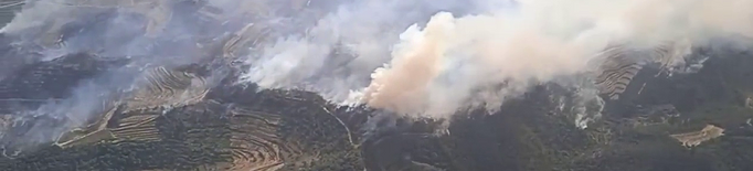 ⏯️ L'incendi de Baldomar ha cremat 550 hectàrees i els de Corbera d'Ebre i Castellar de la Ribera unes 300