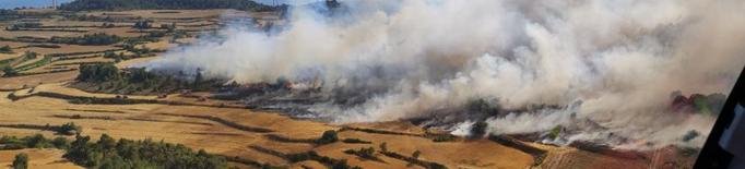 ⏯️ Els Bombers donen per controlat l'incendi de Vallbona de les Monges