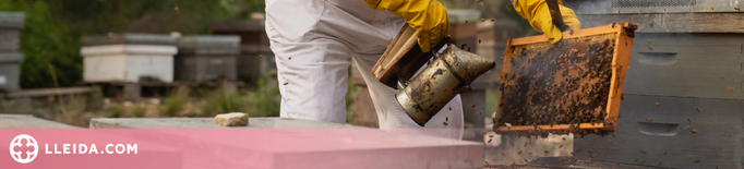 JARC demana suport per delcarar l'apicultura com Patrimoni Immaterial de la Humanitat