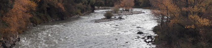Investigació lleidatana per reduir els efectes de les hidroelèctriques sobre els rius de muntanya