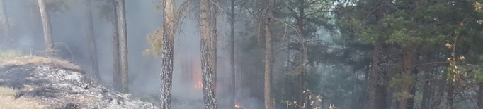 Un incendi per un llamp i més de 40 caigudes d'arbres durant la tempesta als Pirineus