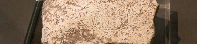 ⏯️ Descobreixen a la Cova Gran de Santa Linya una plaqueta de fa 14.000 anys amb gravats