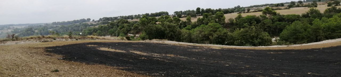 Crema una hectàrea de vegetació agrícola a la Segarra