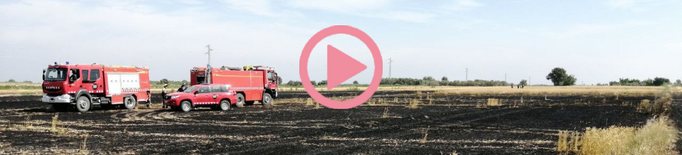 ⏯️ Extingit un incendi de vegetació a l'Urgell