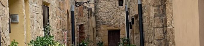 La Vileta d’Artesa de Lleida es troba al centre de la població, i configura el nucli antic de la vila. Les antigues porxades que tancaven la vila closa, juntament amb les arcades de pedra que les sustentaven, van ser enderrocades durant el segle passat. L