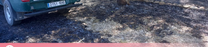 Un incendi crema 10 hectàrees de vegetació entre Almenar i Algerri