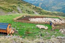 Rialp reclama sortir del Parc de l'Alt Pirineu si no beneficia la ramaderia