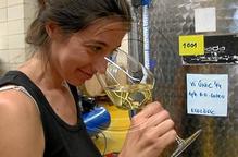 Un experiment dóna lloc a un vi únic a Vallbona