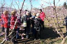 Fins a 120 turistes estrenen la ruta dels fruiters florits a Aitona