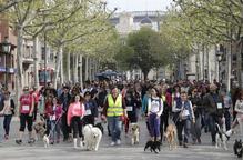 Quasi 200 mascotes desfilen per Lleida