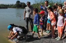 L’Estany preveu acollir 400 tortugues en els propers anys