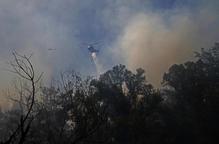 Un espectacular incendi arrasa més de dos hectàrees a la Mitjana