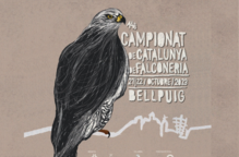 Bellpuig acull el Campionat de Catalunya de Falconeria