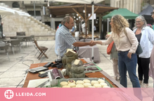 Cap de setmana de mercats a la ciutat de Lleida