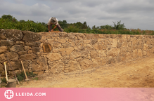 Consolidació dels murs de contenció de pedra de diversos camins de Riner