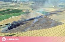Extingit l'incendi agrícola d'Algerri, que ha afectat 8,9 hectàrees