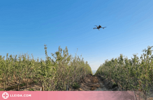 La UdL, en un projecte europeu per digitalitzar els sectors agroalimentari i forestal