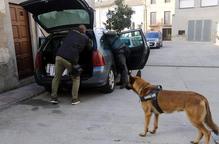 Operació oberta amb diversos detinguts per tràfic de drogues a Lleida, Barcelona, Osca i Mallorca 