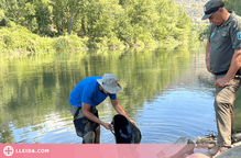 ⏯️  Agents Rurals aixequen cinc actes per sobrepassar les captacions d'aigua al Segre entre Puigcerdà i la Seu d'Urgell