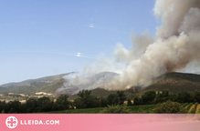⏯️ Més de 60 dotacions de bombers treballen en l'extinció d'un incendi a Artesa de Segre