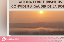 Aitona celebra la diada de Sant Antoni Abat i engega la campanya d'hivern de Fruiturisme