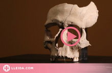 ⏯️ Troben un crani humà de fa 2.200 anys