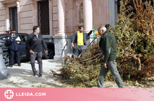 ⏯️ Bloquegen l'entrada de la subdelegació del govern espanyol a Lleida amb arbres fruiters