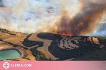 Un nou incendi a Artesa de Segre crema ja 40 hectàrees