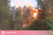 ⏯️ Un incendi forestal entre les Garrigues i el Priorat afecta 3 hectàrees