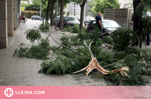 ⏯️ Una tempesta amb fortes ratxes de vent trenca arbres i tomba motocicletes a Lleida