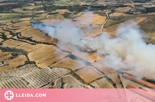 Un incendi agrícola a les Garrigues afecta unes 16 hectàrees