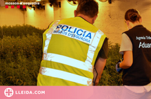 Desmantellen una organització de tràfic de drogues que operava a Lleida i arreu d'Europa