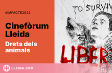 El Festival IMPACTE! arriba a Lleida amb una sessió i cinefòrum dedicats als drets dels animals