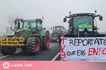 Els pagesos convoquen talls de carretera i una marxa lenta de tractors al Segrià i l'Urgell aquest dilluns