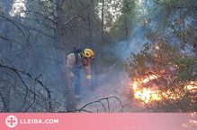 ⏯️ Estabilitzat l'incendi forestal de la Franja