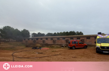 Evacuen un treballador d'una granja incendiada de Torrefarrera on han mort 10 garrins